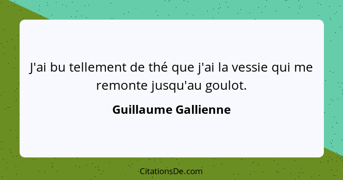 J'ai bu tellement de thé que j'ai la vessie qui me remonte jusqu'au goulot.... - Guillaume Gallienne