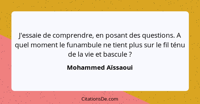 J'essaie de comprendre, en posant des questions. A quel moment le funambule ne tient plus sur le fil ténu de la vie et bascule&nbs... - Mohammed Aïssaoui