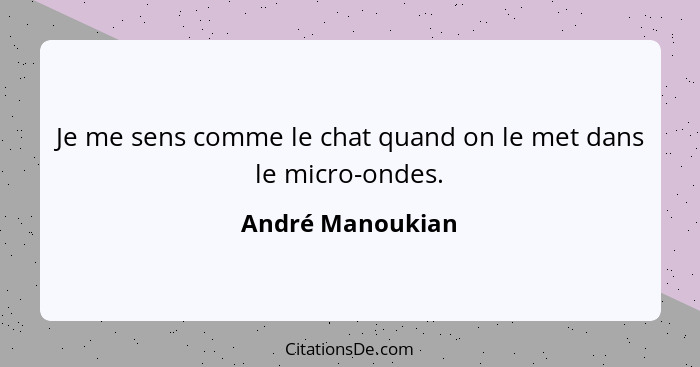 Je me sens comme le chat quand on le met dans le micro-ondes.... - André Manoukian