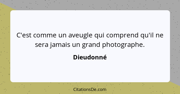 C'est comme un aveugle qui comprend qu'il ne sera jamais un grand photographe.... - Dieudonné