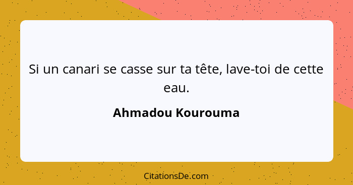 Si un canari se casse sur ta tête, lave-toi de cette eau.... - Ahmadou Kourouma