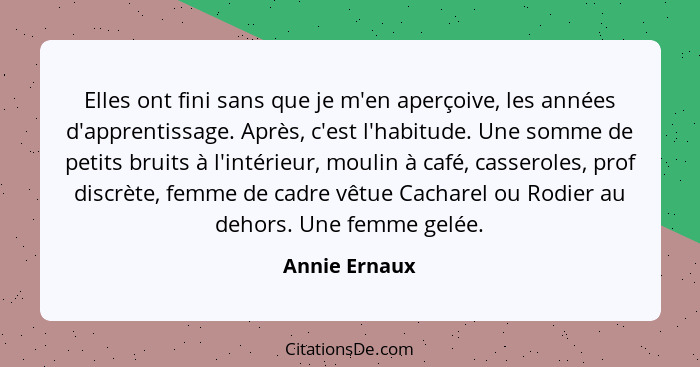 Elles ont fini sans que je m'en aperçoive, les années d'apprentissage. Après, c'est l'habitude. Une somme de petits bruits à l'intérieu... - Annie Ernaux