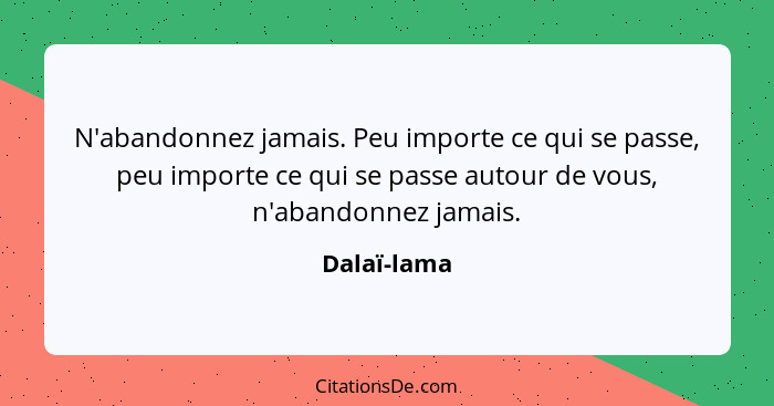 N'abandonnez jamais. Peu importe ce qui se passe, peu importe ce qui se passe autour de vous, n'abandonnez jamais.... - Dalaï-lama