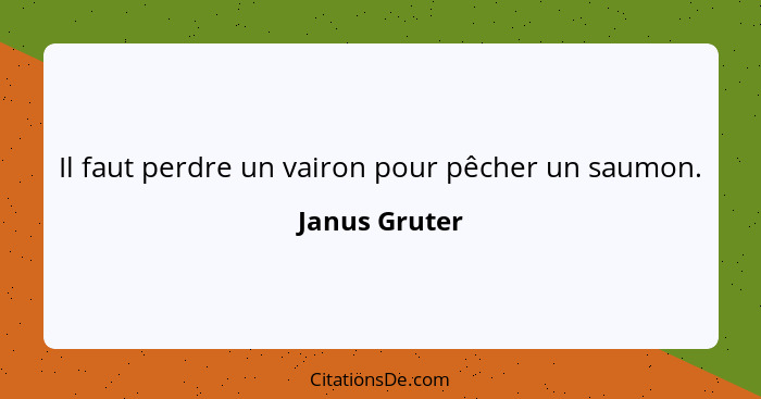 Il faut perdre un vairon pour pêcher un saumon.... - Janus Gruter