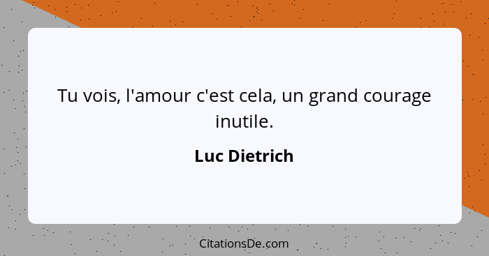 Tu vois, l'amour c'est cela, un grand courage inutile.... - Luc Dietrich