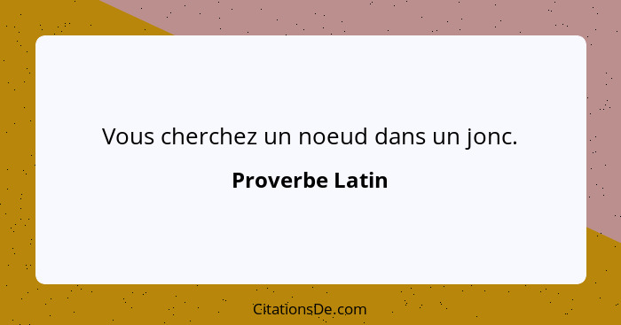 Vous cherchez un noeud dans un jonc.... - Proverbe Latin