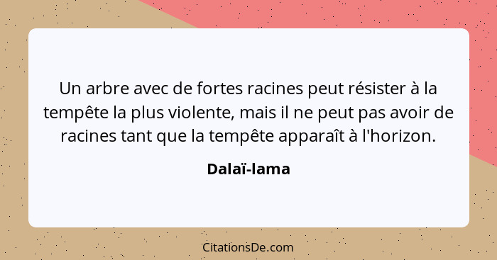 Un arbre avec de fortes racines peut résister à la tempête la plus violente, mais il ne peut pas avoir de racines tant que la tempête app... - Dalaï-lama