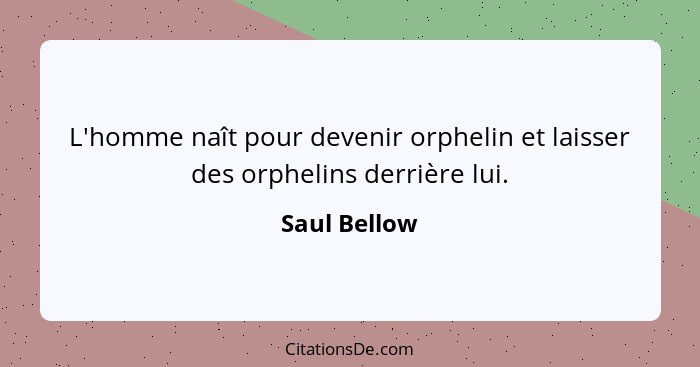 L'homme naît pour devenir orphelin et laisser des orphelins derrière lui.... - Saul Bellow