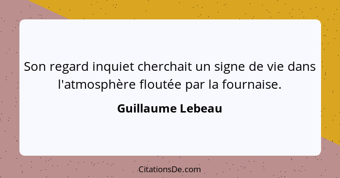 Son regard inquiet cherchait un signe de vie dans l'atmosphère floutée par la fournaise.... - Guillaume Lebeau