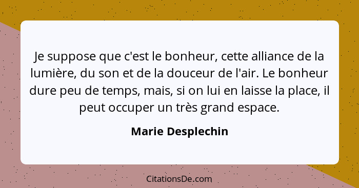 Je suppose que c'est le bonheur, cette alliance de la lumière, du son et de la douceur de l'air. Le bonheur dure peu de temps, mais... - Marie Desplechin