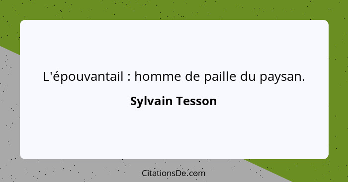 L'épouvantail : homme de paille du paysan.... - Sylvain Tesson