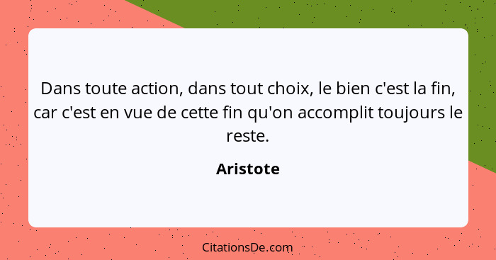 Dans toute action, dans tout choix, le bien c'est la fin, car c'est en vue de cette fin qu'on accomplit toujours le reste.... - Aristote