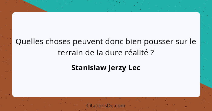 Quelles choses peuvent donc bien pousser sur le terrain de la dure réalité ?... - Stanislaw Jerzy Lec