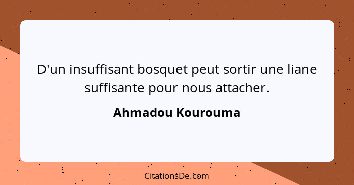 D'un insuffisant bosquet peut sortir une liane suffisante pour nous attacher.... - Ahmadou Kourouma