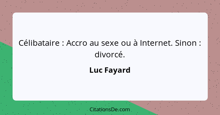 Célibataire : Accro au sexe ou à Internet. Sinon : divorcé.... - Luc Fayard