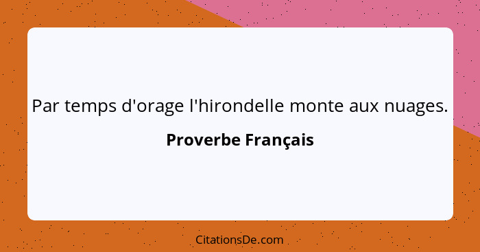 Par temps d'orage l'hirondelle monte aux nuages.... - Proverbe Français