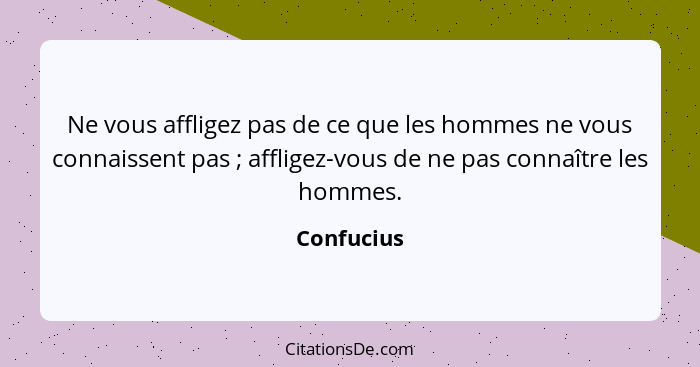 Ne vous affligez pas de ce que les hommes ne vous connaissent pas ; affligez-vous de ne pas connaître les hommes.... - Confucius