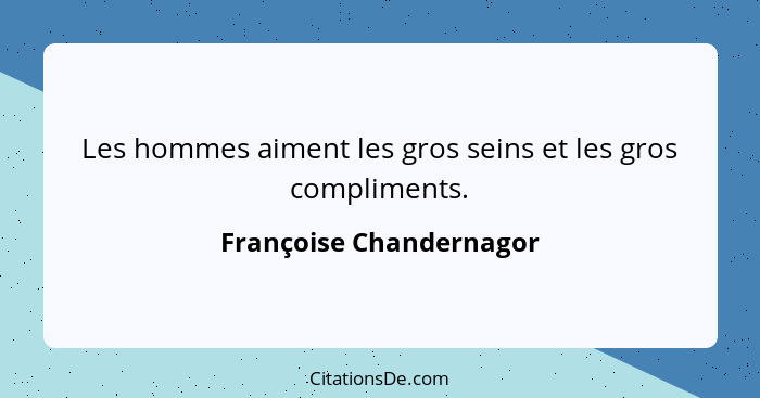 Les hommes aiment les gros seins et les gros compliments.... - Françoise Chandernagor