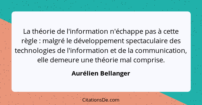 La théorie de l'information n'échappe pas à cette règle : malgré le développement spectaculaire des technologies de l'inform... - Aurélien Bellanger