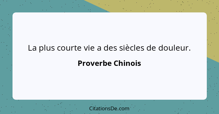 La plus courte vie a des siècles de douleur.... - Proverbe Chinois