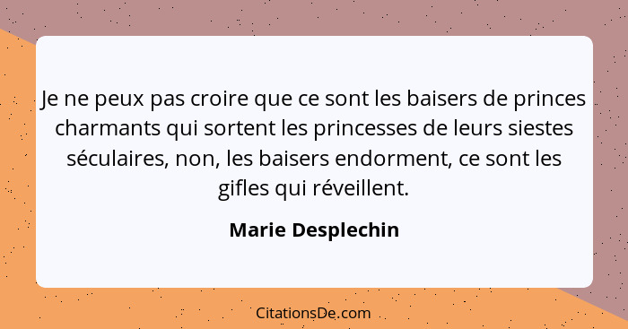 Je ne peux pas croire que ce sont les baisers de princes charmants qui sortent les princesses de leurs siestes séculaires, non, les... - Marie Desplechin