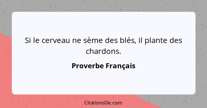 Si le cerveau ne sème des blés, il plante des chardons.... - Proverbe Français