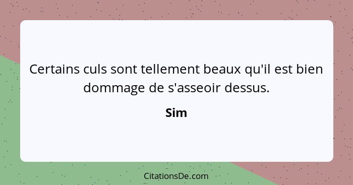 Certains culs sont tellement beaux qu'il est bien dommage de s'asseoir dessus.... - Sim