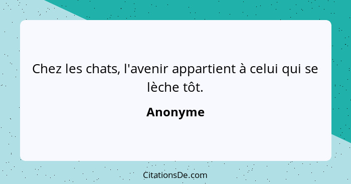 Chez les chats, l'avenir appartient à celui qui se lèche tôt.... - Anonyme