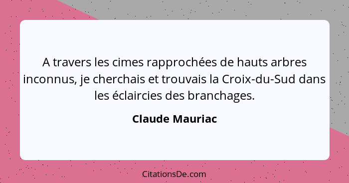 A travers les cimes rapprochées de hauts arbres inconnus, je cherchais et trouvais la Croix-du-Sud dans les éclaircies des branchages... - Claude Mauriac