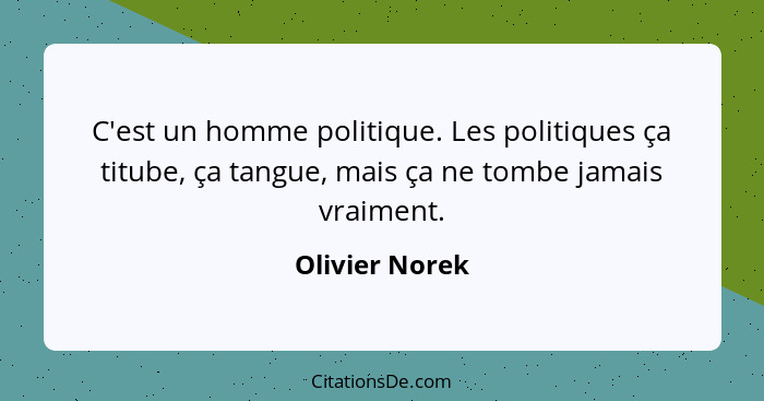 C'est un homme politique. Les politiques ça titube, ça tangue, mais ça ne tombe jamais vraiment.... - Olivier Norek