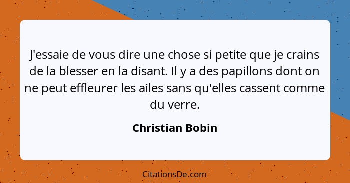 J'essaie de vous dire une chose si petite que je crains de la blesser en la disant. Il y a des papillons dont on ne peut effleurer l... - Christian Bobin