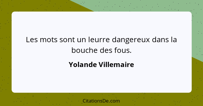 Les mots sont un leurre dangereux dans la bouche des fous.... - Yolande Villemaire