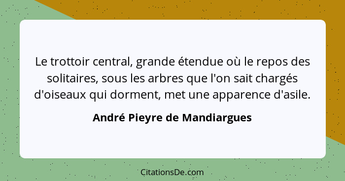 Le trottoir central, grande étendue où le repos des solitaires, sous les arbres que l'on sait chargés d'oiseaux qui dorm... - André Pieyre de Mandiargues