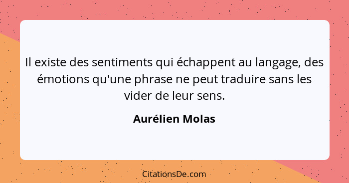 Il existe des sentiments qui échappent au langage, des émotions qu'une phrase ne peut traduire sans les vider de leur sens.... - Aurélien Molas