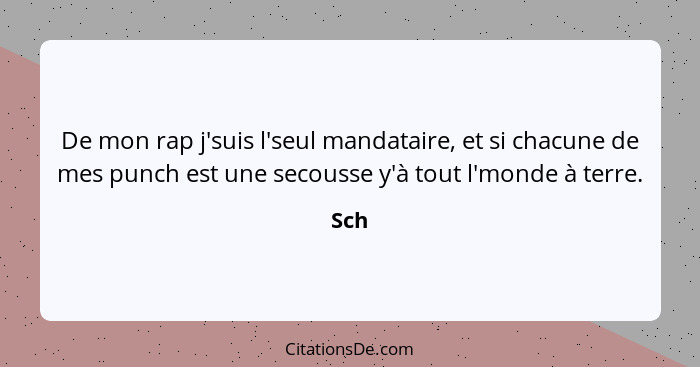 De mon rap j'suis l'seul mandataire, et si chacune de mes punch est une secousse y'à tout l'monde à terre.... - Sch