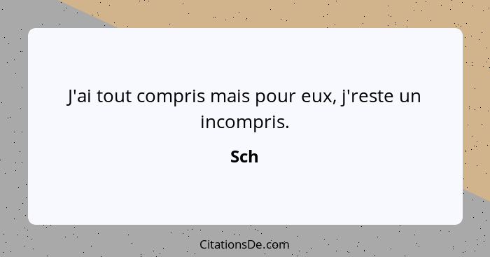 J'ai tout compris mais pour eux, j'reste un incompris.... - Sch