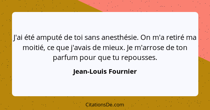 J'ai été amputé de toi sans anesthésie. On m'a retiré ma moitié, ce que j'avais de mieux. Je m'arrose de ton parfum pour que tu... - Jean-Louis Fournier