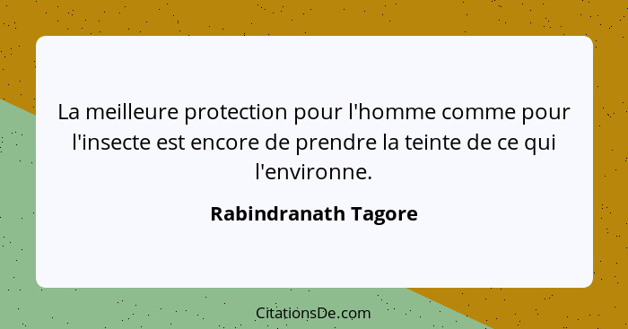 La meilleure protection pour l'homme comme pour l'insecte est encore de prendre la teinte de ce qui l'environne.... - Rabindranath Tagore