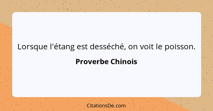 Lorsque l'étang est desséché, on voit le poisson.... - Proverbe Chinois