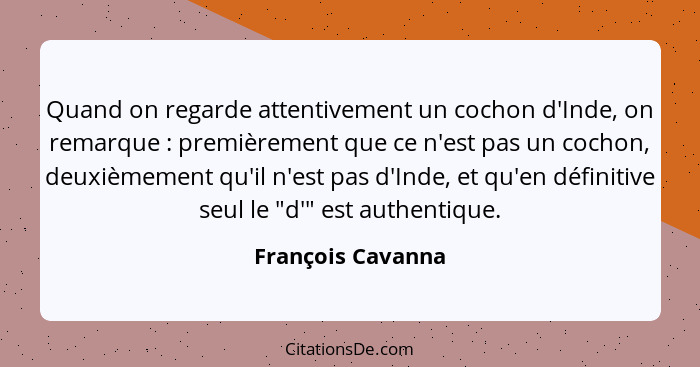 Quand on regarde attentivement un cochon d'Inde, on remarque : premièrement que ce n'est pas un cochon, deuxièmement qu'il n'e... - François Cavanna