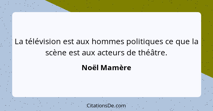 La télévision est aux hommes politiques ce que la scène est aux acteurs de théâtre.... - Noël Mamère