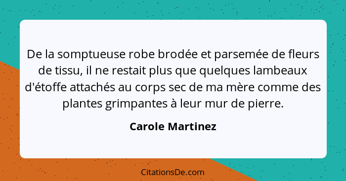 De la somptueuse robe brodée et parsemée de fleurs de tissu, il ne restait plus que quelques lambeaux d'étoffe attachés au corps sec... - Carole Martinez