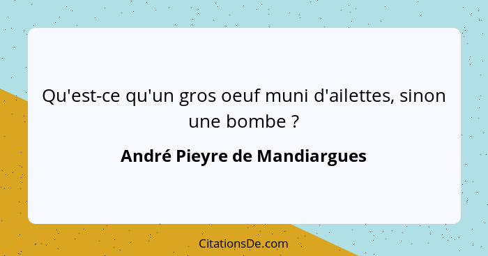 Qu'est-ce qu'un gros oeuf muni d'ailettes, sinon une bombe ?... - André Pieyre de Mandiargues