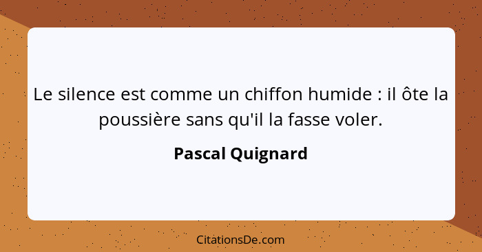 Le silence est comme un chiffon humide : il ôte la poussière sans qu'il la fasse voler.... - Pascal Quignard