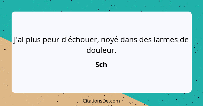 J'ai plus peur d'échouer, noyé dans des larmes de douleur.... - Sch