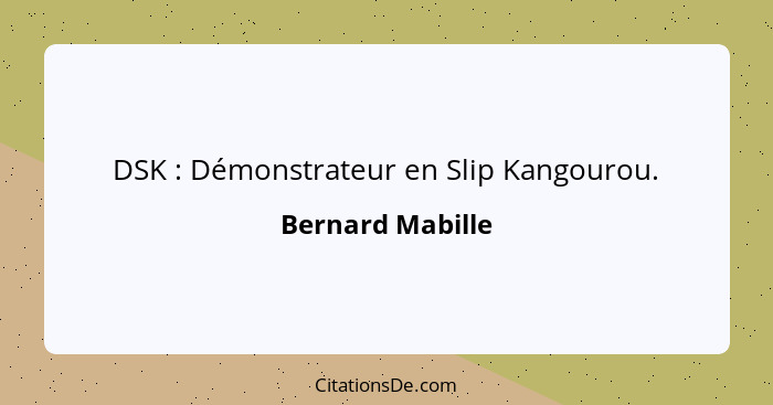 DSK : Démonstrateur en Slip Kangourou.... - Bernard Mabille