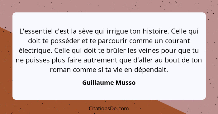 L'essentiel c'est la sève qui irrigue ton histoire. Celle qui doit te posséder et te parcourir comme un courant électrique. Celle qu... - Guillaume Musso