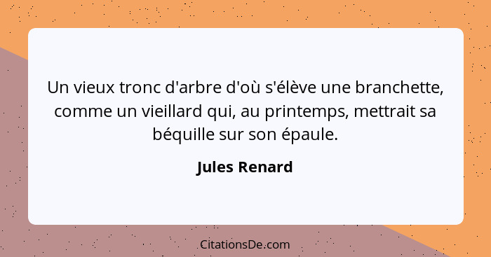 Un vieux tronc d'arbre d'où s'élève une branchette, comme un vieillard qui, au printemps, mettrait sa béquille sur son épaule.... - Jules Renard