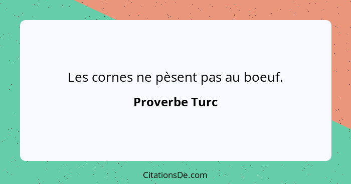 Les cornes ne pèsent pas au boeuf.... - Proverbe Turc