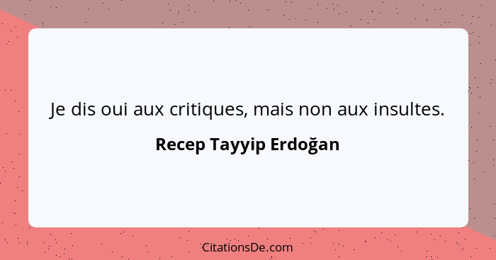 Je dis oui aux critiques, mais non aux insultes.... - Recep Tayyip Erdoğan